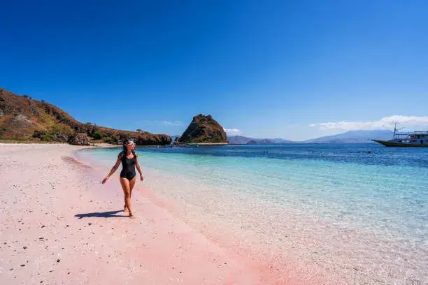 Komodo Island Private Tour | Complete Travel Guide