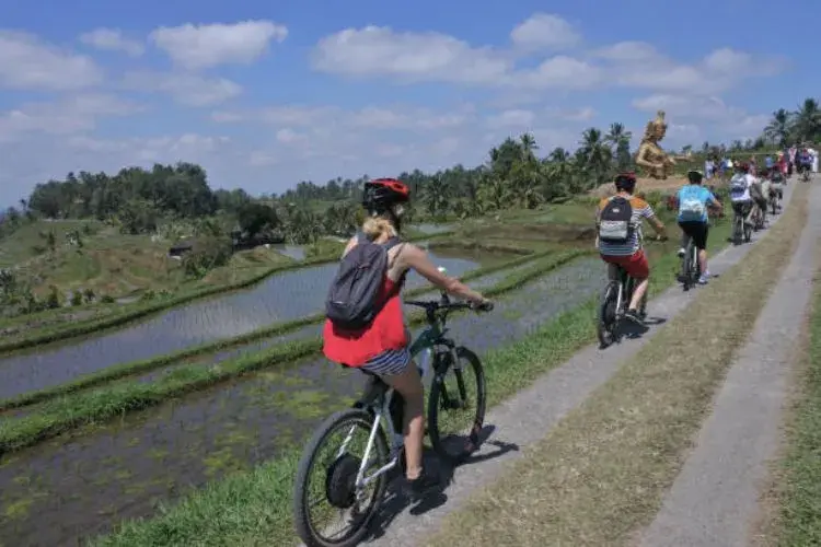 Kintamani Downhill Cycling Tour in Bali
