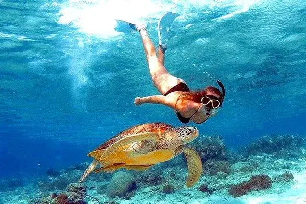 Blue Lagoon Snorkeling