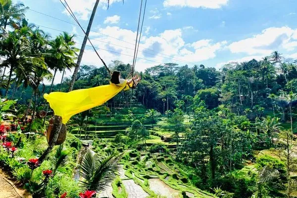 Bali Swing