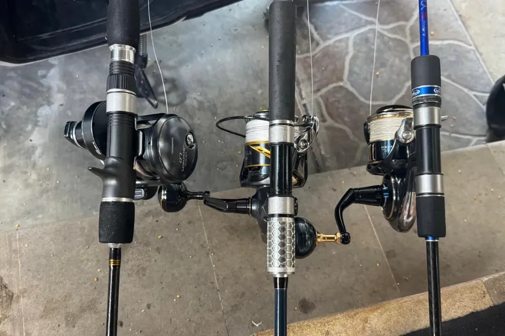 Gear Fishing