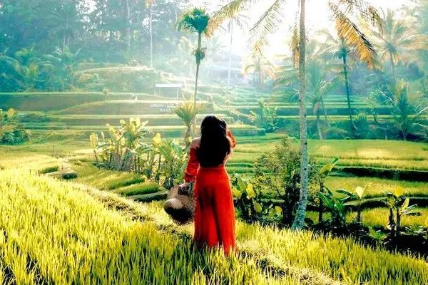 Tegalalang Rice Terrace