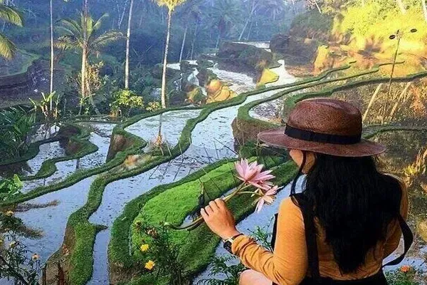 Tegalalang Rice Terrace