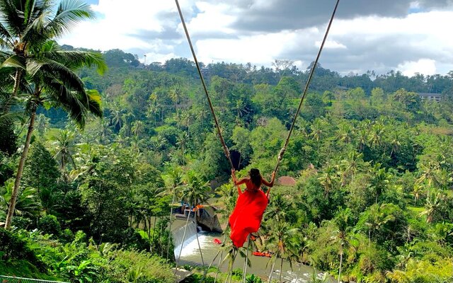 Real Bali Swing