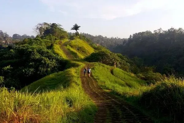 Campuhan Ridge Walk