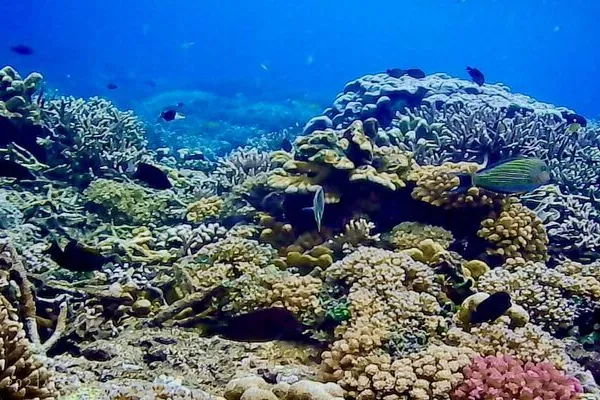 Blue Lagoon View Underwater
