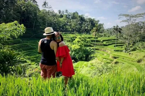 Tegalalang Rice Terrace