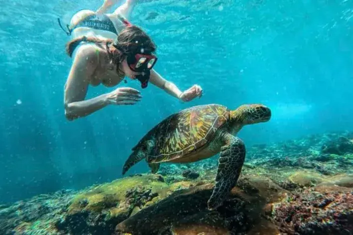 バリ島アクティビティ