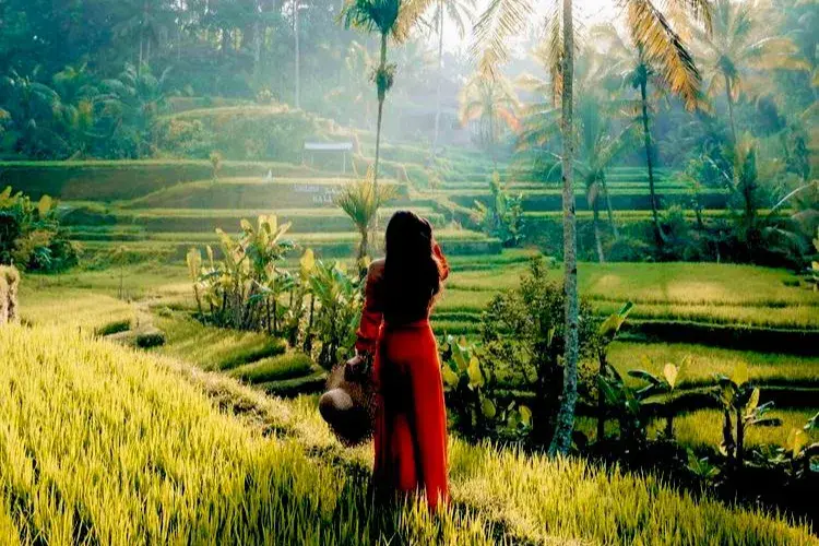 ウブド文化＆自然ツアー