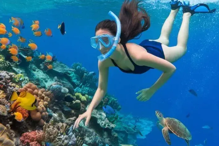 アメッド・アルティメット・コーラルドリーム・シュノーケリングツアー