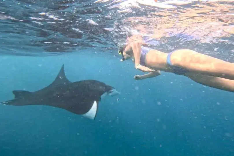 バリ島発ヌサペニダ島シュノーケリング＆ランドツアー（日本語ガイド付き）